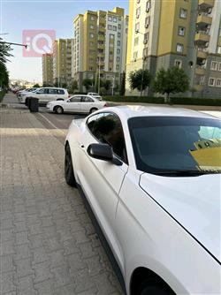 فورد موستانج